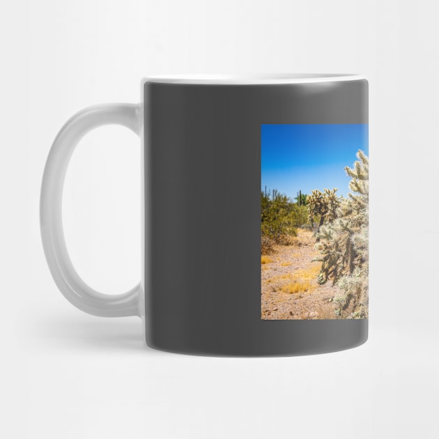 Cholla Cactus along the Apache Trail by Gestalt Imagery